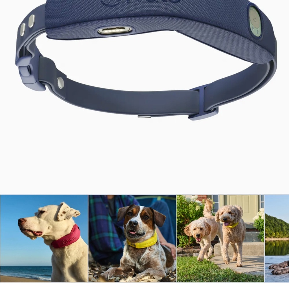 Halo GPS dog collar gen 4 NIB navy - Picture 2 of 2